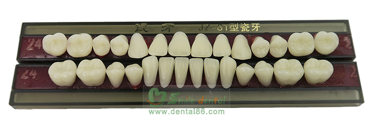 SC02 Alloy Pin Porcelain Teeth